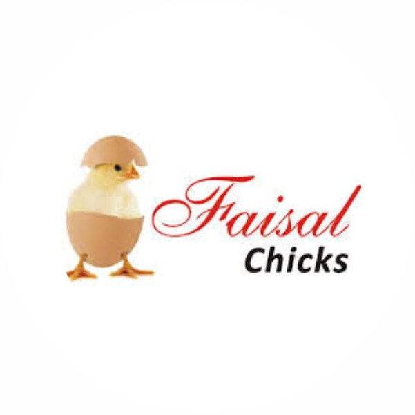 About Faisal Chicks