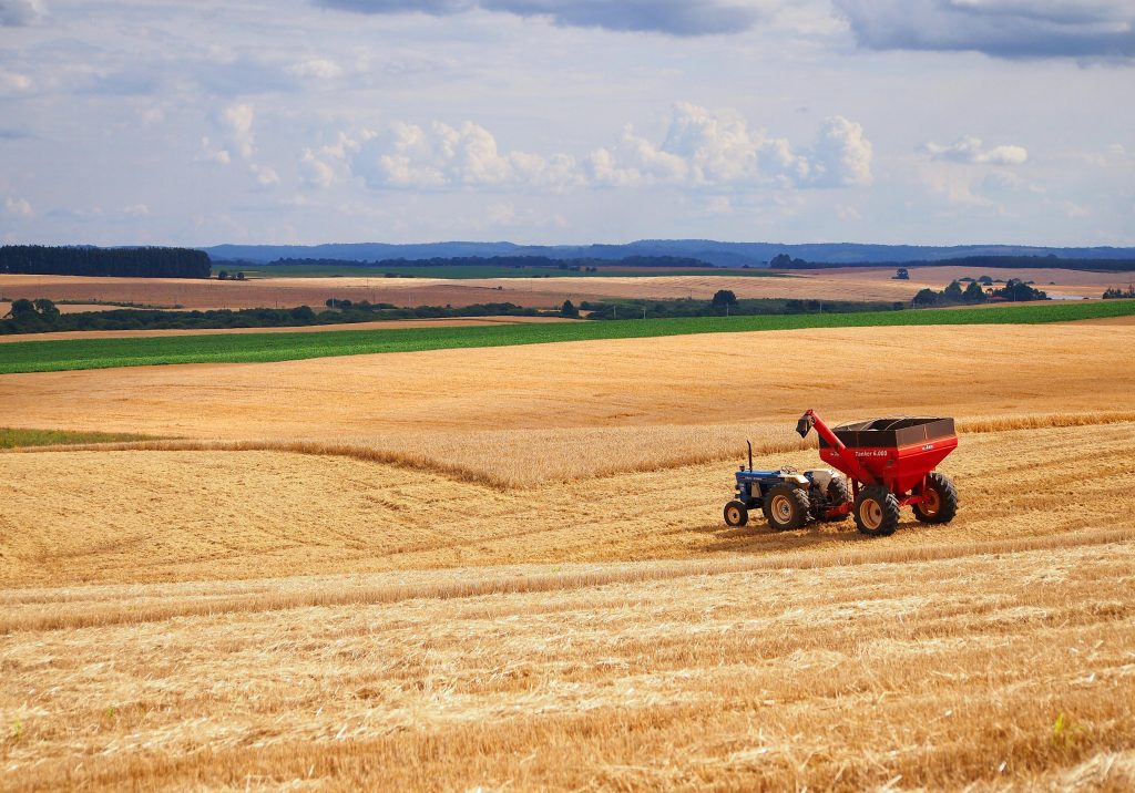 Our Journey: From a Small Agro Family Business to Pakistan’s Trusted Feed Additives Leader pexels andre ulysses de salis 2100065 8019123