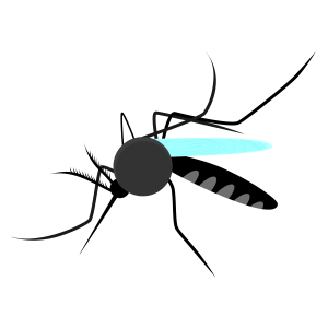 DOK-TEK's dedication to a healthier, malaria-free future on World Malaria Day in 2026 Malaria Mosquito Vector Graphic